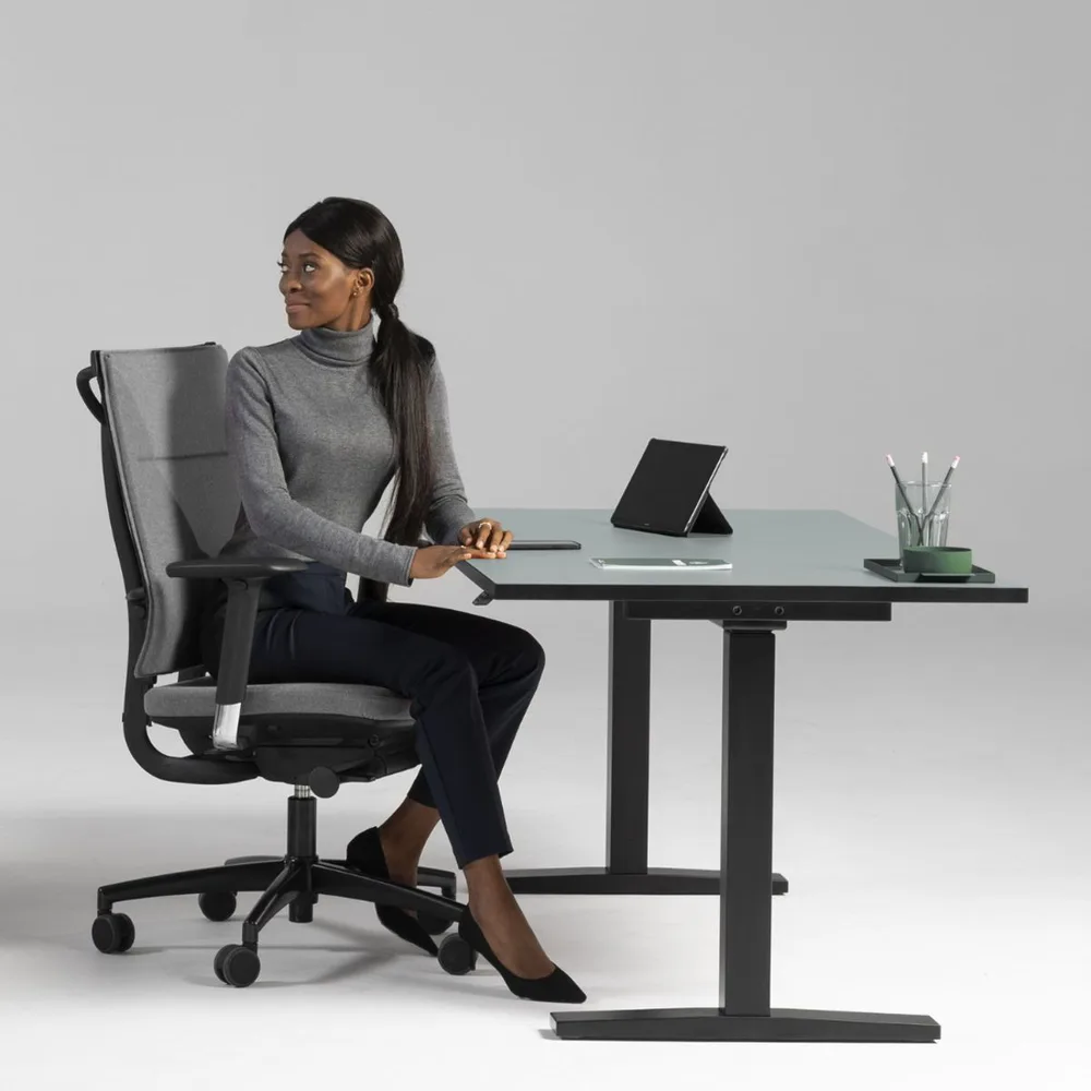 Основа за бюро EUP2 с електрическа регулация – RAL 9010 Pure White BI, WH, W