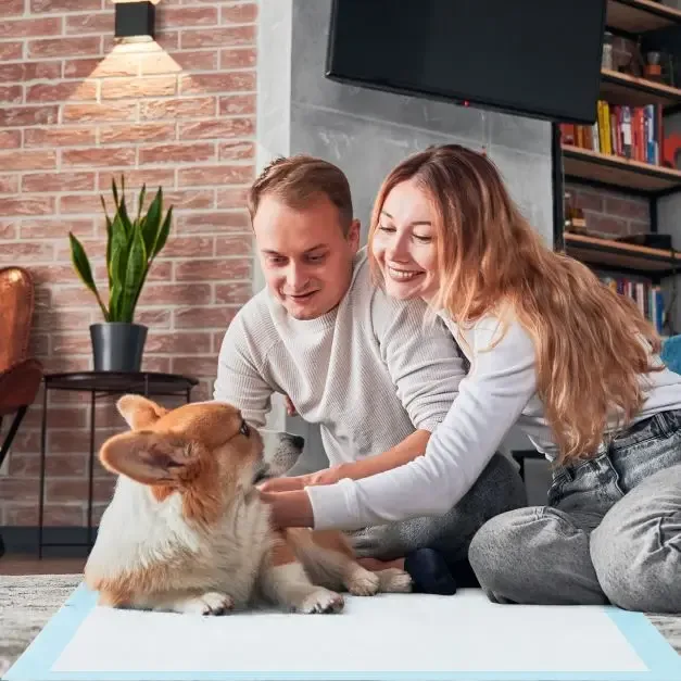 Подложки за кучета с 6 слоя, непропускливи, 90 × 60 см, 150 броя, снимка 6