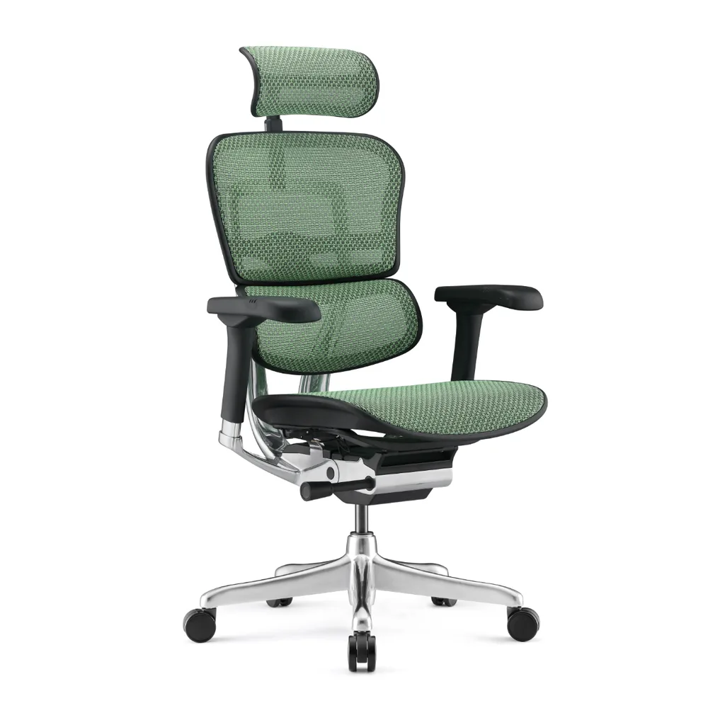 Работен стол Ergohuman NEW Colors – Ergohuman Green