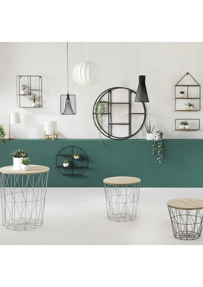 Масичка Куми - Бяла – средна, снимка 6